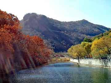 日韩免免费费视频在线，平陆野猪